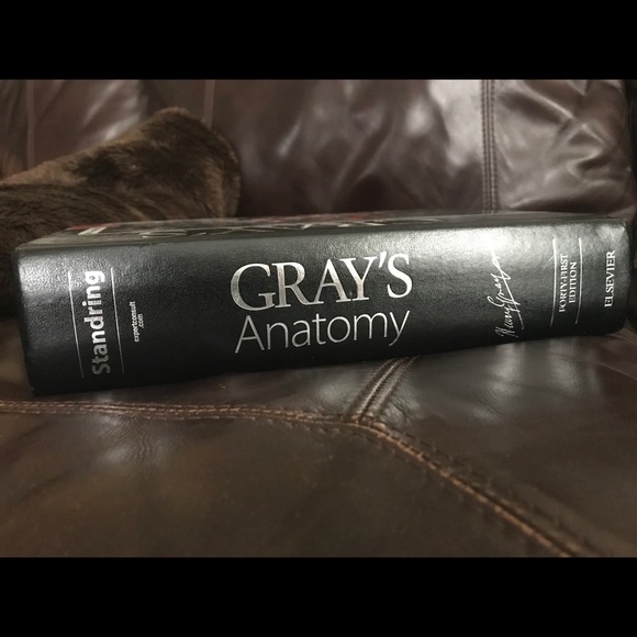 Gray’s Anatomy Forty-First edition - Picture 5 of 7